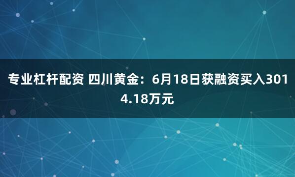 专业杠杆配资 四川黄金：6月18日获融资买入3014.18万元